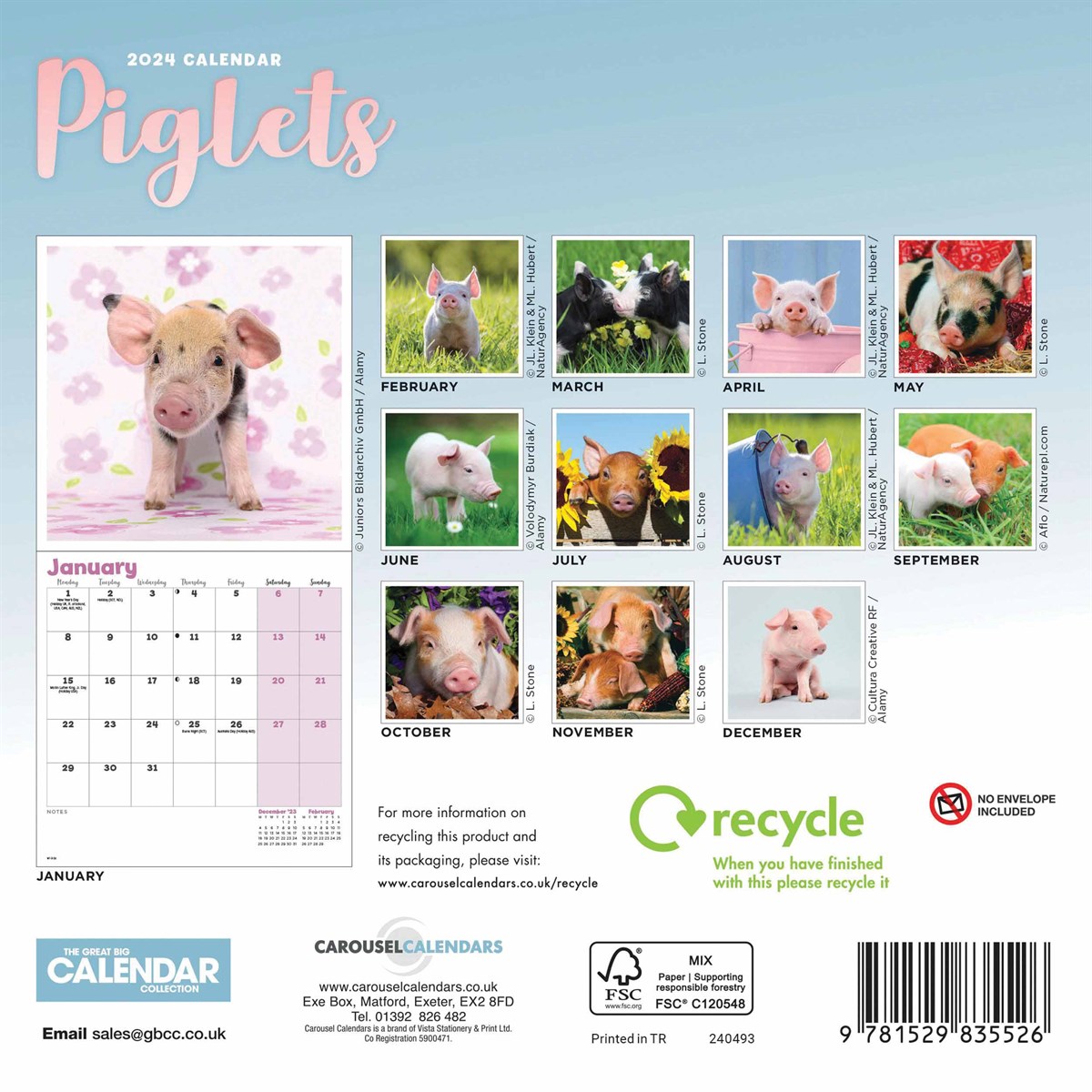 Piglets Mini Calendar 2024 by Carousel Calendars 240493