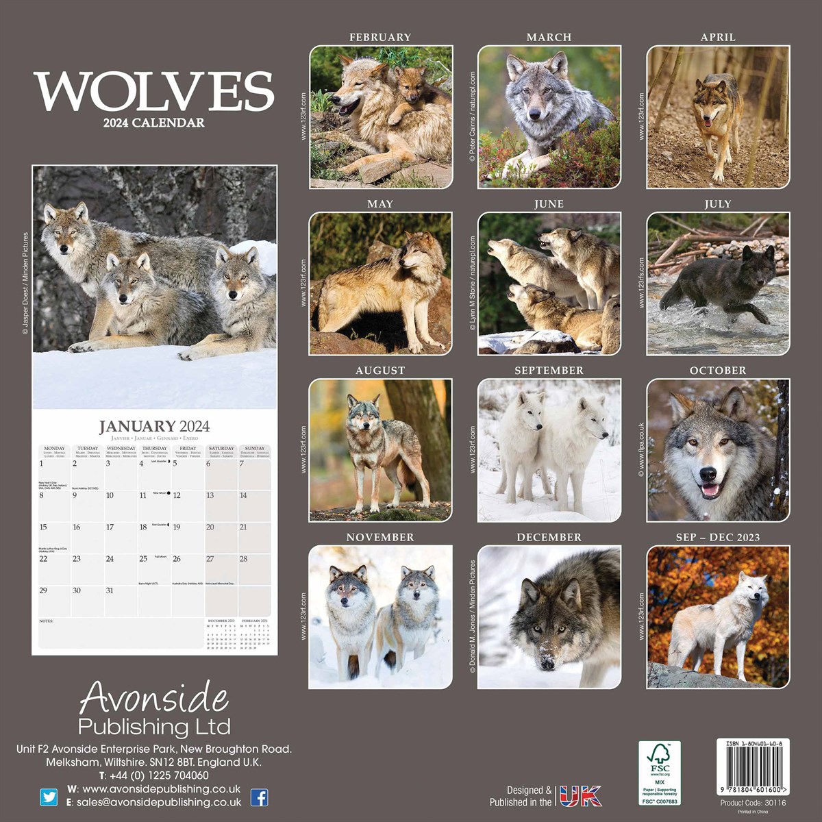 Wolves Wall Calendar 2024 by Avonside Publishing 240667