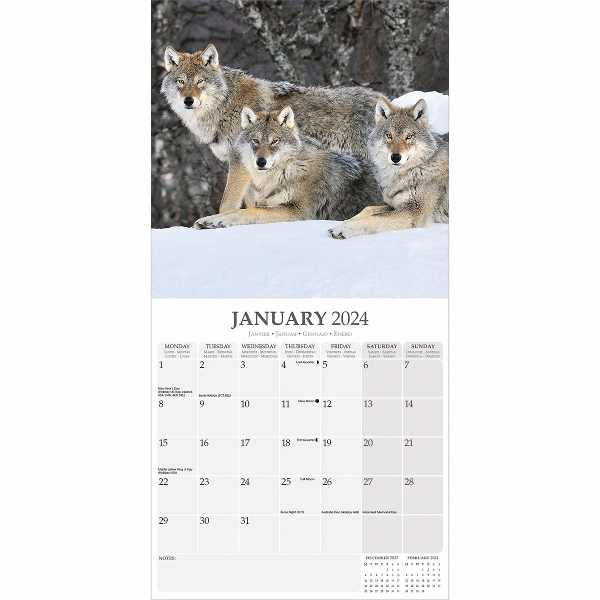 Wolves Wall Calendar 2024 by Avonside Publishing 240667