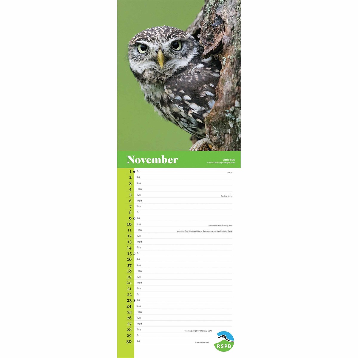 RSPB Owls Slim Calendar 2024 by Carousel Calendars 240232