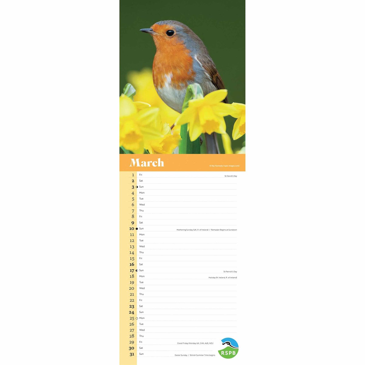 RSPB Robins Slim Calendar 2024 by Carousel Calendars 240234