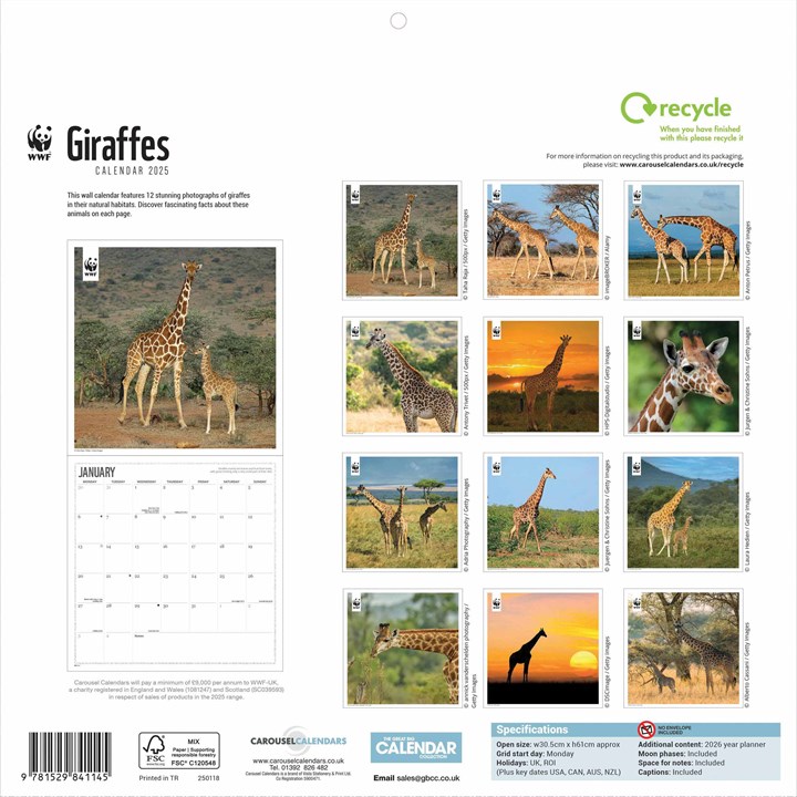 WWF Giraffes Wall Calendar 2025, Carousel Calendars 250118