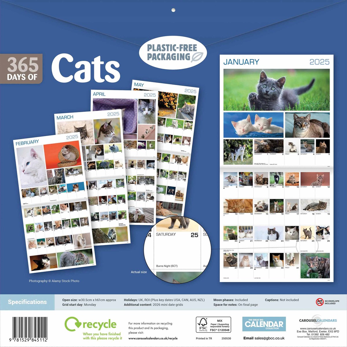 366 Days of Cats Calendar 2025, Carousel Calendars 250530